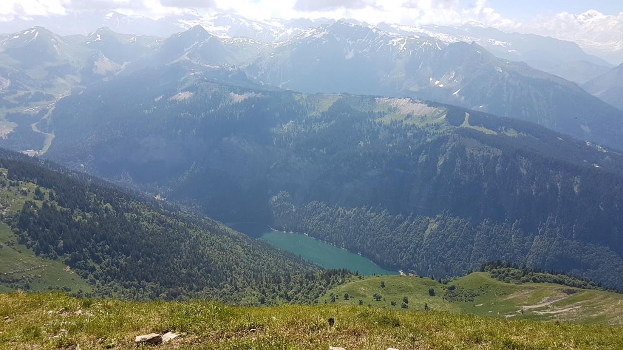 Appartement Proche Morzine Centre Et Remontees Mecaniques - Oree De Morzine 24A Montriond Ngoại thất bức ảnh